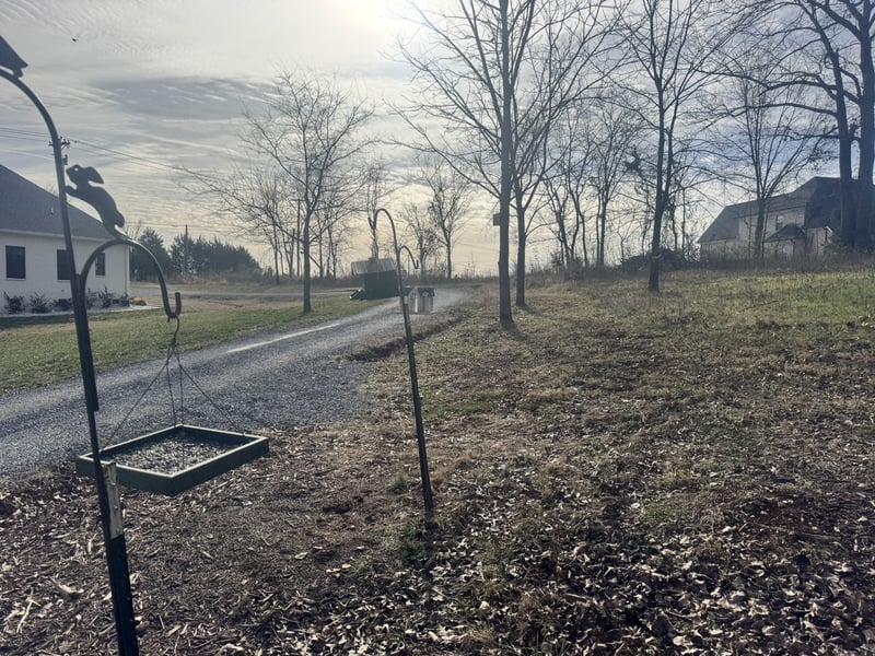 7432 Midland Rd, Christiana, TN 37037