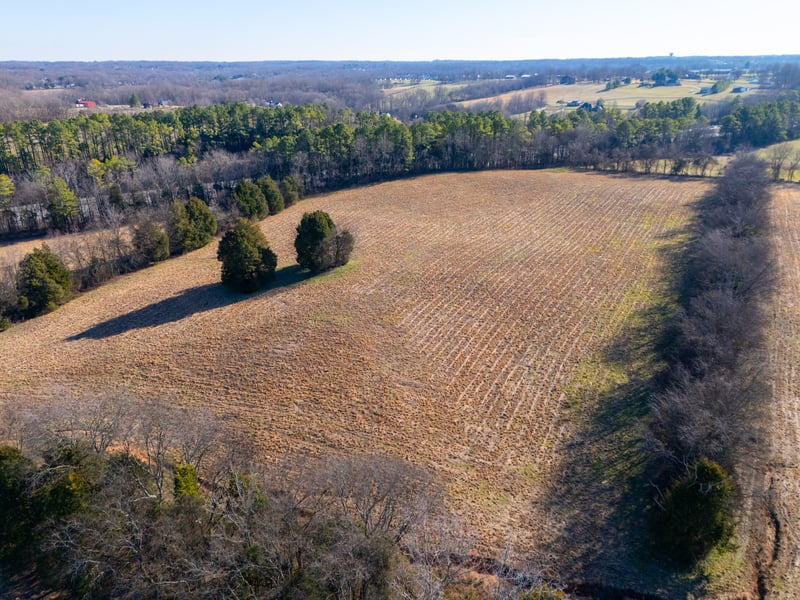 8203 Horseshoe Rd, Cross Plains, TN 37049