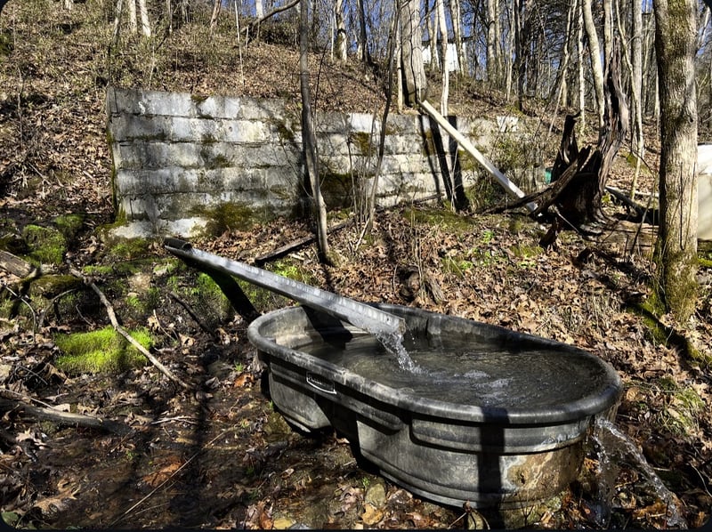 91 Carver Hollow Rd, Pleasant Shade, TN 37145