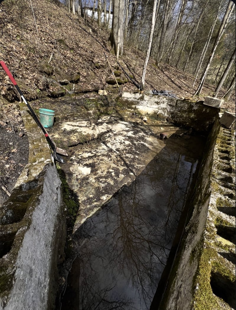 91 Carver Hollow Rd, Pleasant Shade, TN 37145