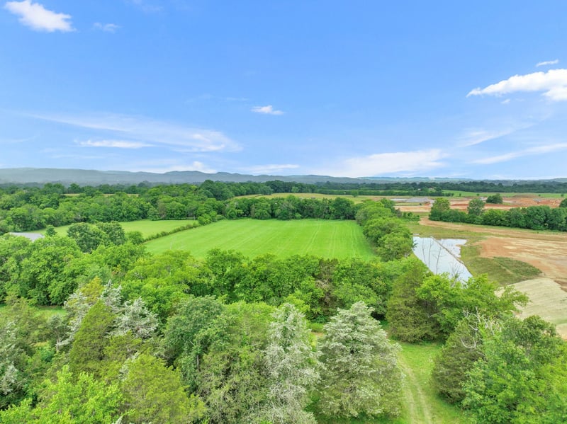 6261 Lampkins Bridge Rd, College Grove, TN 37046