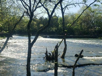 4250 Oswin Dr, Murfreesboro, TN 37129