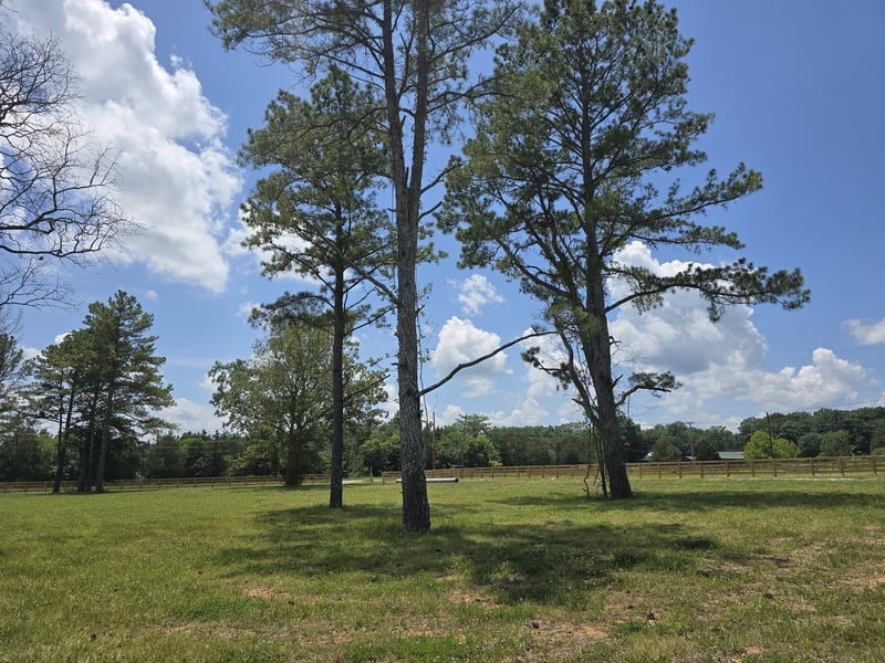 4869 Kedron Rd, Spring Hill, TN 37174