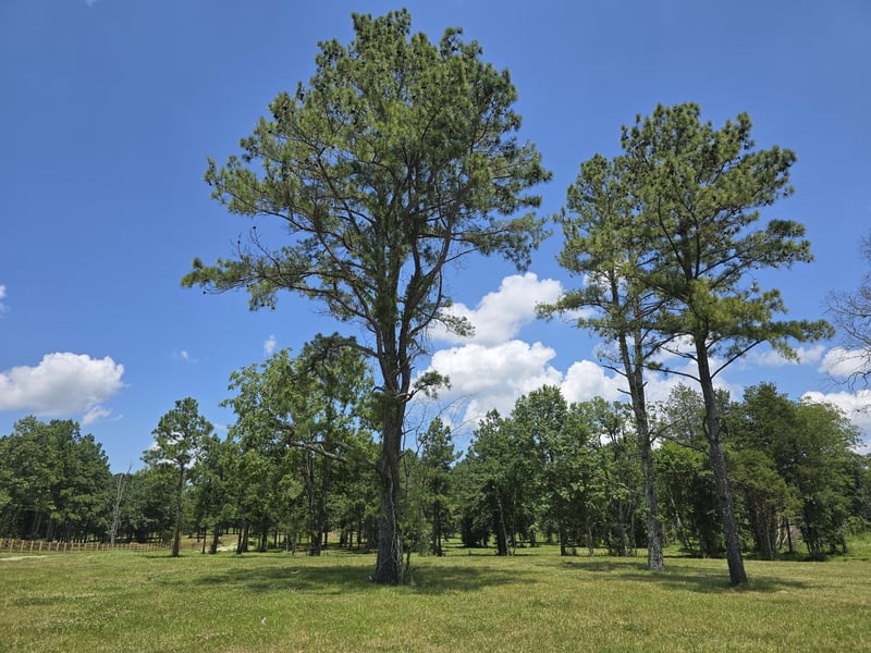 4869 Kedron Rd, Spring Hill, TN 37174