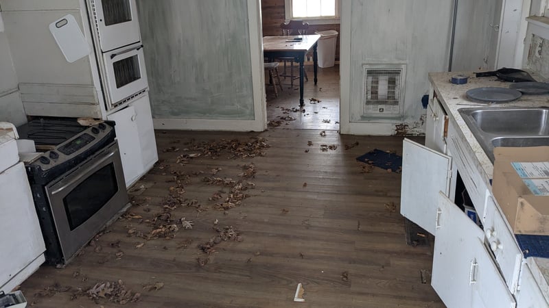 215 Robertson Ln, Castalian Springs, TN 37031