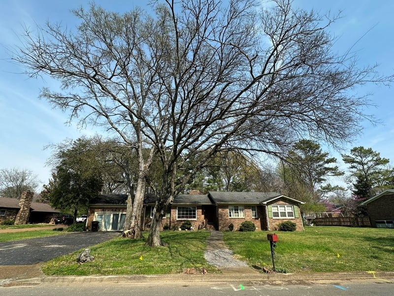 311 Sadler Ct, Murfreesboro, TN 37130