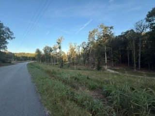 Jones Creek Rd, White Bluff, TN 37187