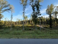 Jones Creek Rd, White Bluff, TN 37187