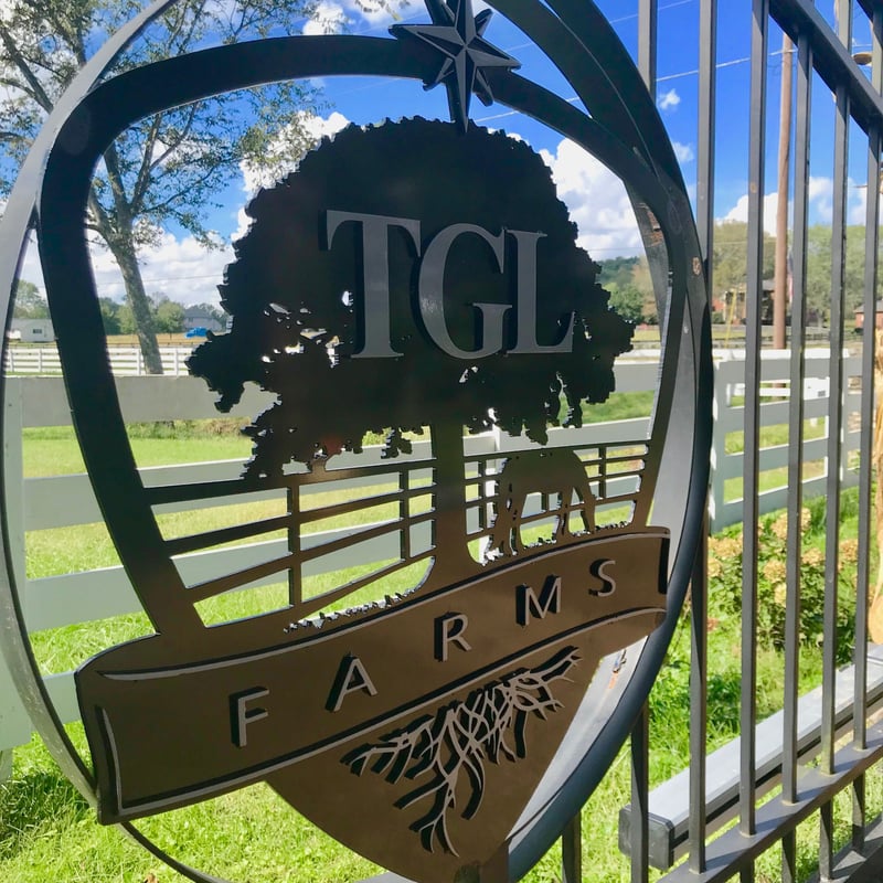 2455 Long Hollow Pike, Hendersonville, TN 37075