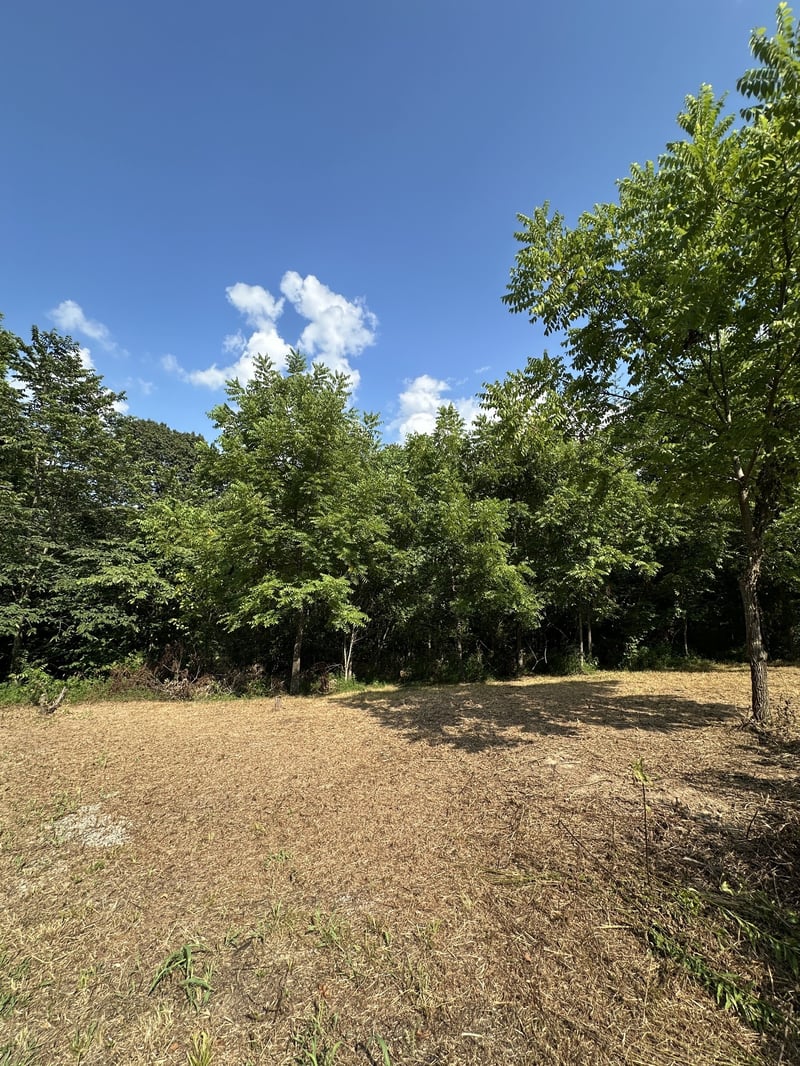 0 Rustling Oaks Ct, Pleasant View, TN 37146
