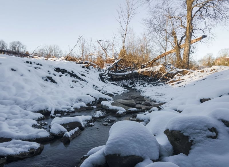 3016 Blythe Meadow Ln, Arrington, TN 37014