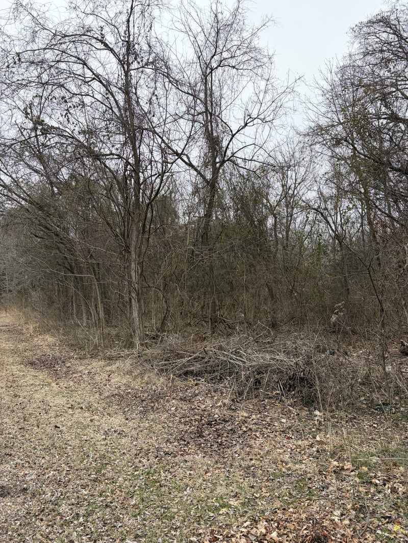 Dixie Ln, Murfreesboro, TN 37129