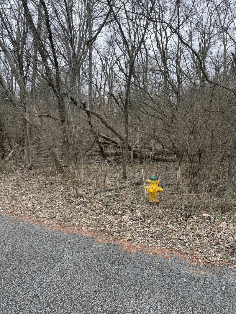 Dixie Ln, Murfreesboro, TN 37129