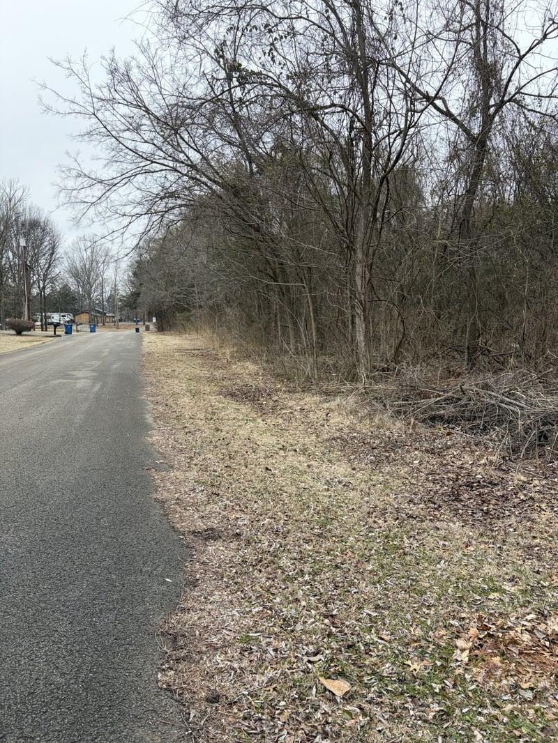 Dixie Ln, Murfreesboro, TN 37129