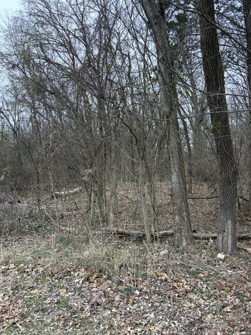 Dixie Ln, Murfreesboro, TN 37129