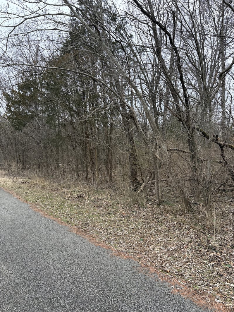 Dixie Ln, Murfreesboro, TN 37129