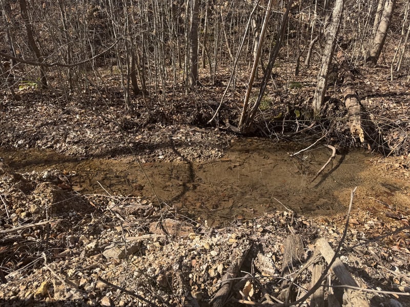 240 Golden View Ln, Hampshire, TN 38461