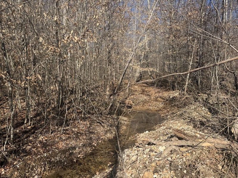 240 Golden View Ln, Hampshire, TN 38461