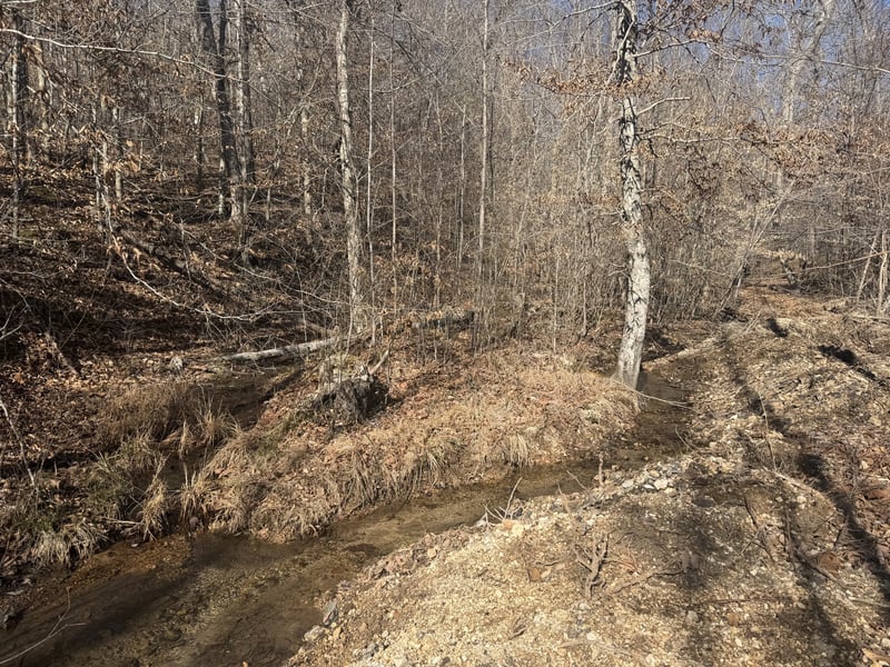 240 Golden View Ln, Hampshire, TN 38461