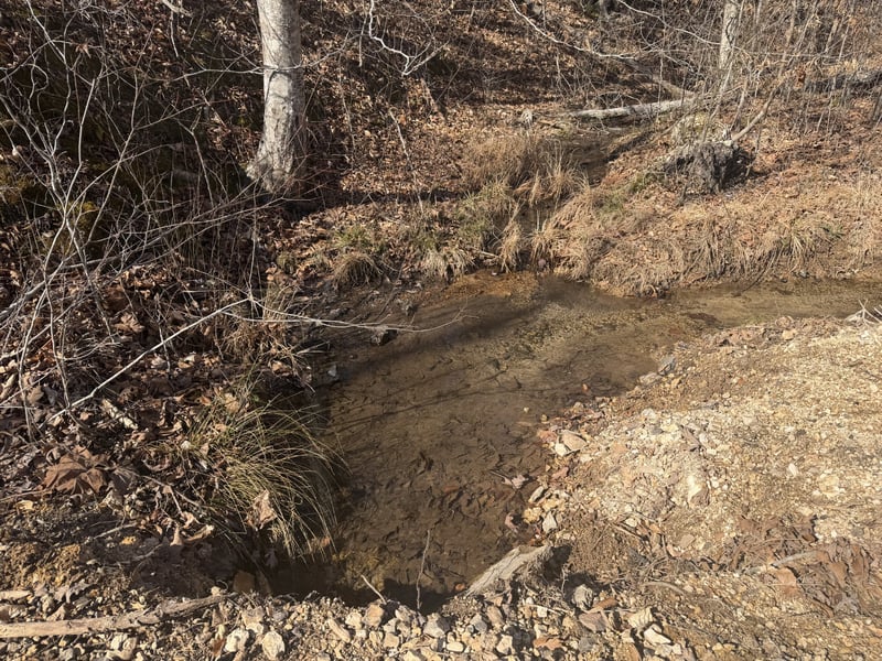 240 Golden View Ln, Hampshire, TN 38461