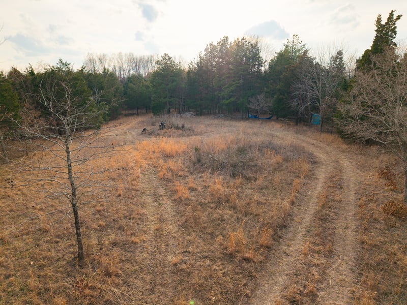 Mount Olive Rd, Westmoreland, TN 37186