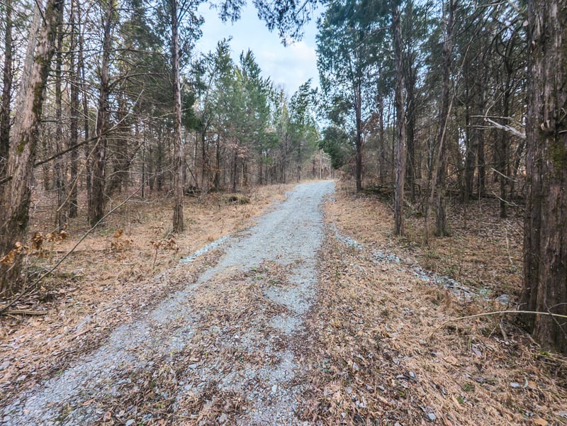 Mount Olive Rd, Westmoreland, TN 37186