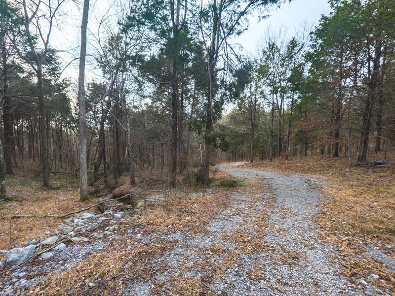 Mount Olive Rd, Westmoreland, TN 37186