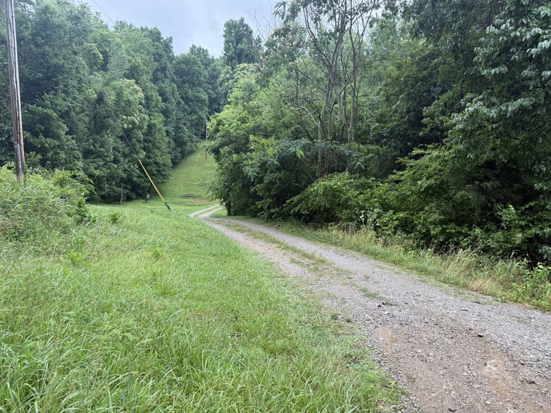 6437 Peytonsville Arno Rd, College Grove, TN 37046