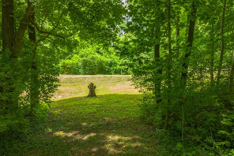 6437 Peytonsville Arno Rd, College Grove, TN 37046