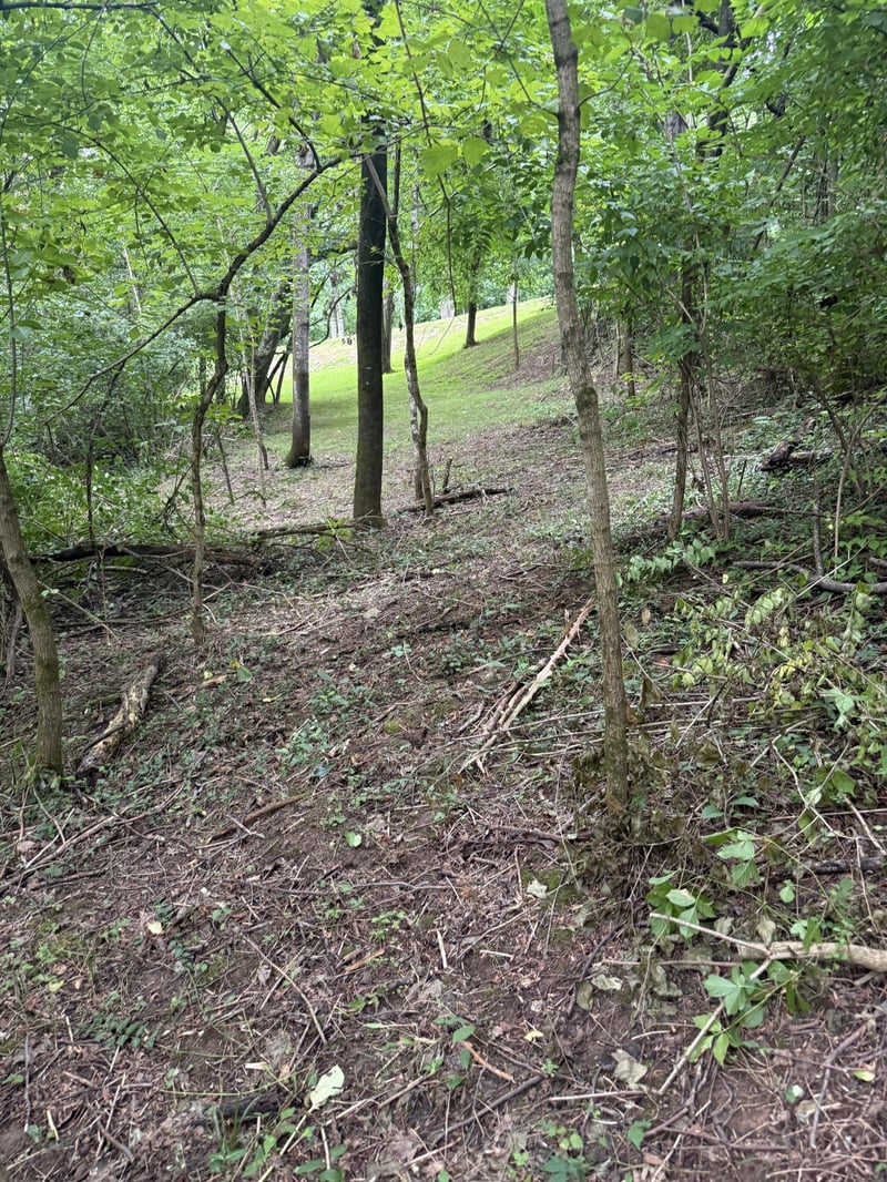 6437 Peytonsville Arno Rd, College Grove, TN 37046