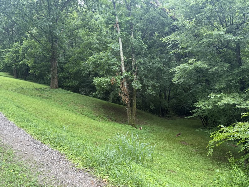 6437 Peytonsville Arno Rd, College Grove, TN 37046