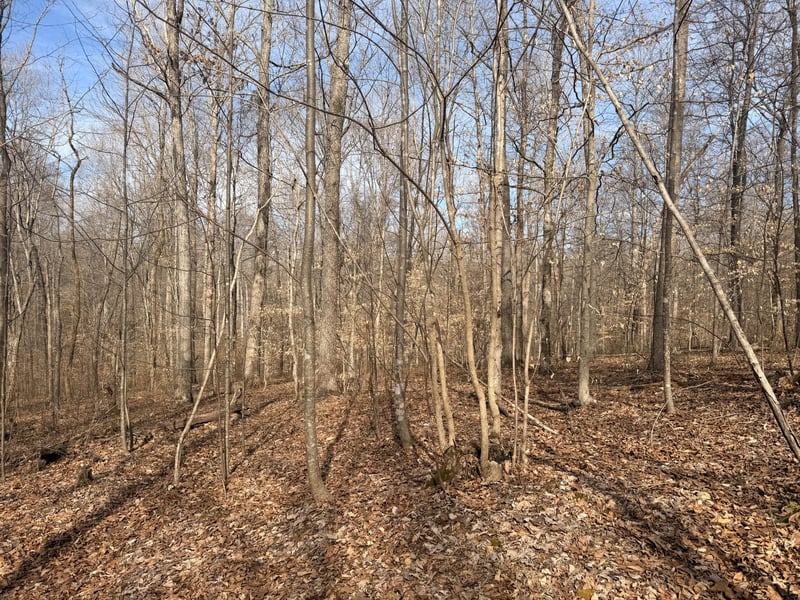 0 Tonya Trl, Cumberland Furnace, TN 37051