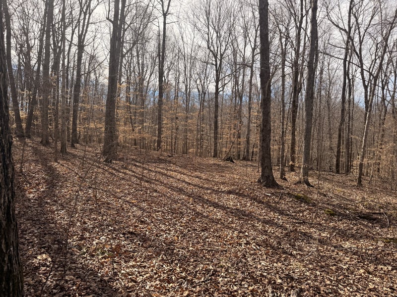 0 Tonya Trl, Cumberland Furnace, TN 37051