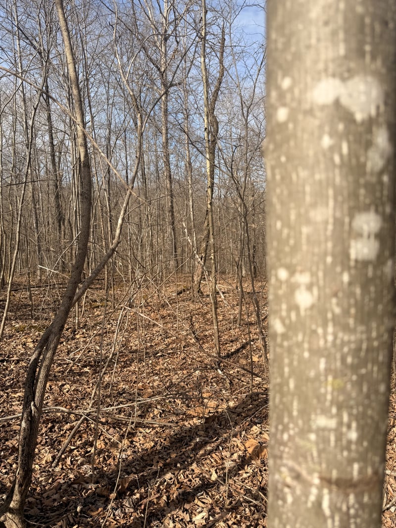 0 Tonya Trl, Cumberland Furnace, TN 37051