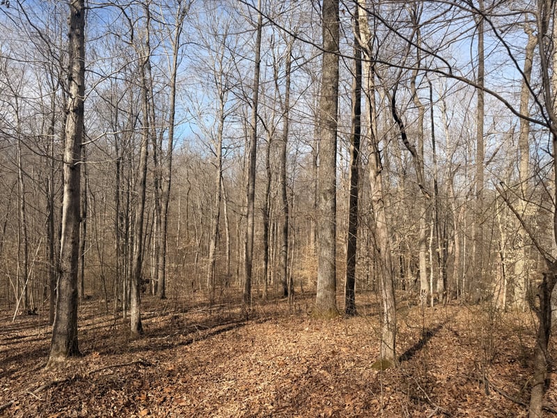 0 Tonya Trl, Cumberland Furnace, TN 37051