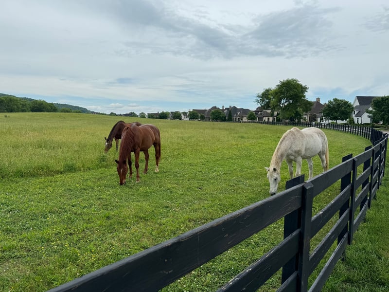 6017 Native Pony Trl, College Grove, TN 37046