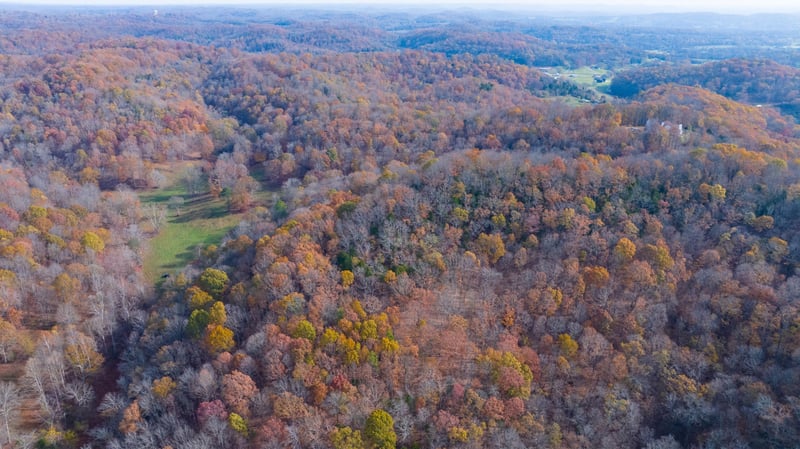 Brazier Dr, Gallatin, TN 37066
