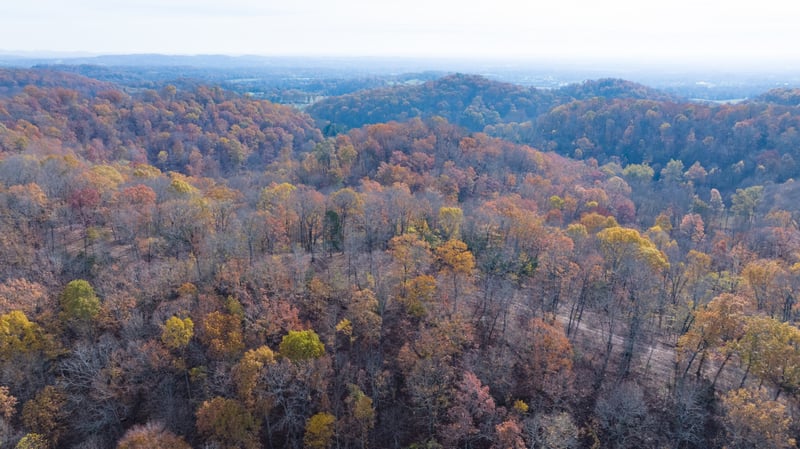 0 Brazier Ln, Gallatin, TN 37066