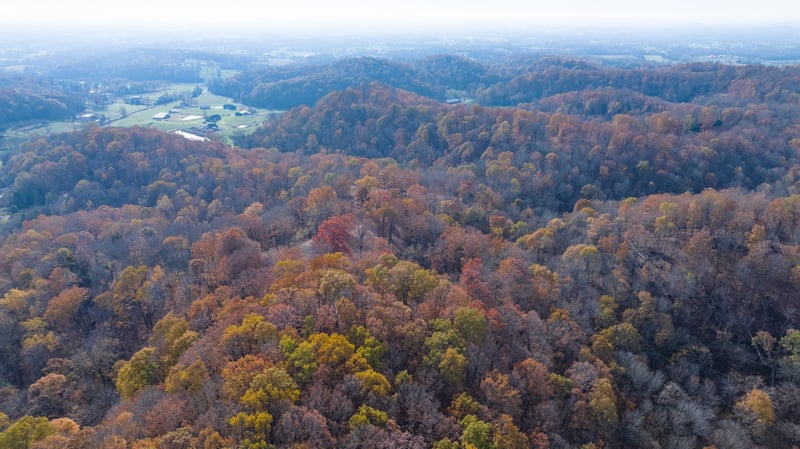 0 Brazier Ln, Gallatin, TN 37066