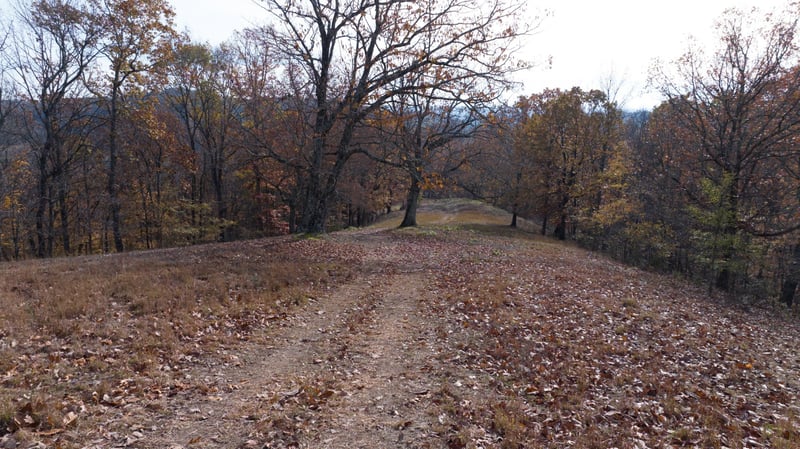 Brazier Ln, Gallatin, TN 37066