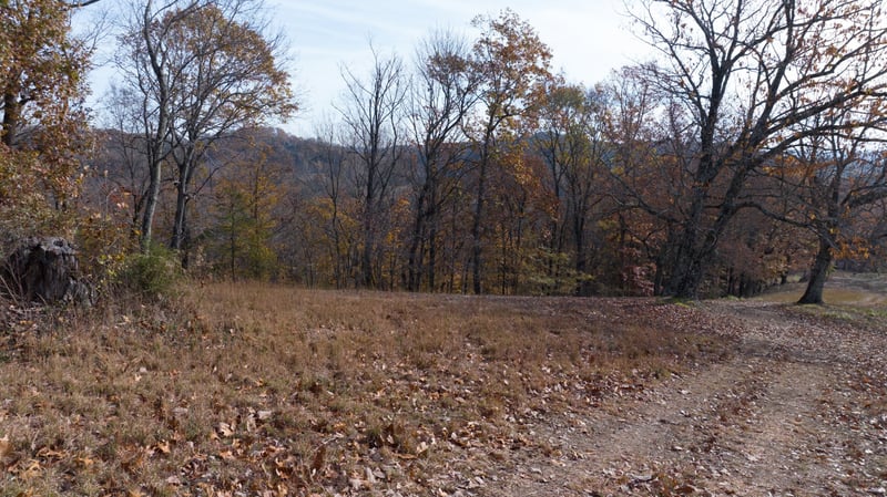 Brazier Ln, Gallatin, TN 37066