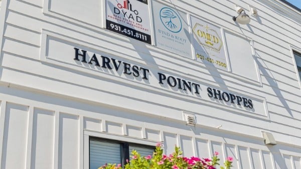 3016 Shandor St, Spring Hill, TN 37174