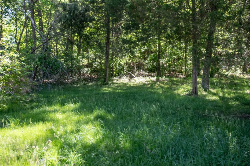 Creek Trail Dr, Whites Creek, TN 37189