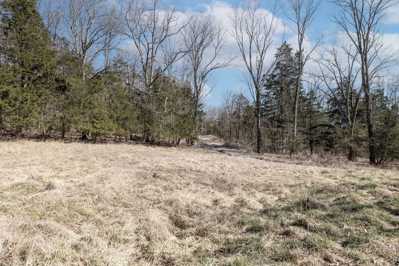 2208 Osburn Rd, Arrington, TN 37014