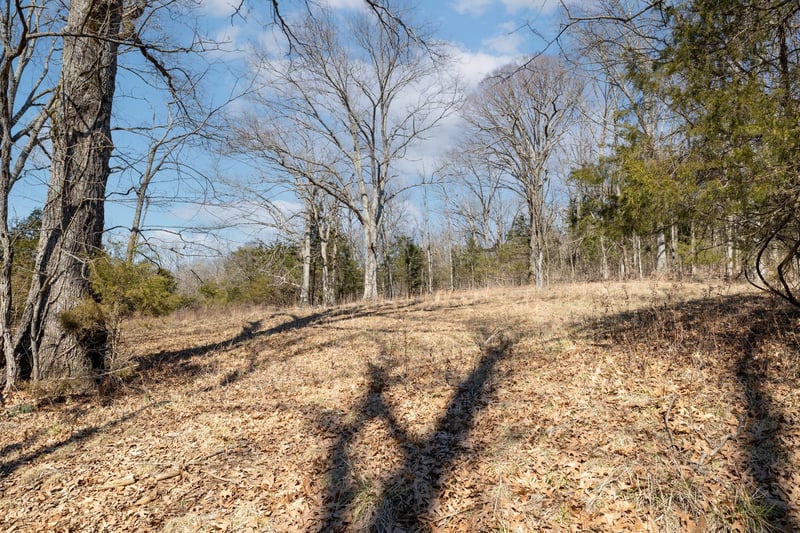 2208 Osburn Rd, Arrington, TN 37014