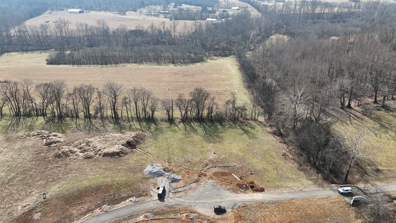 3011 Blythe Meadow Ln, Arrington, TN 37014