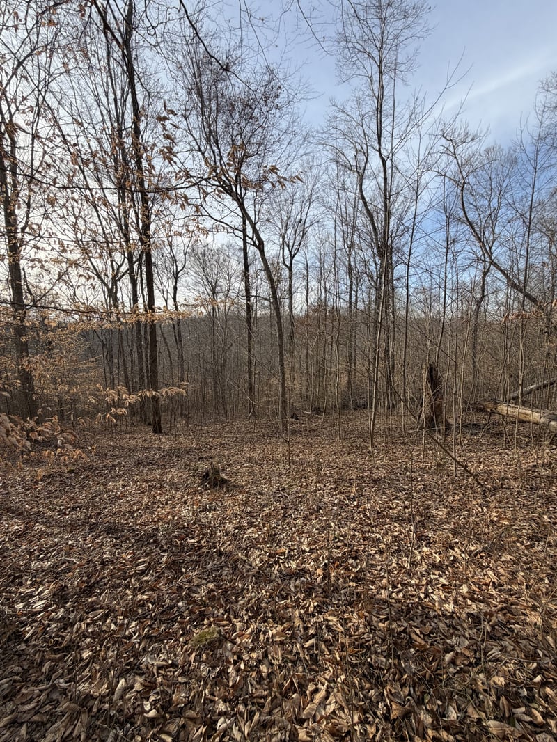 0 Macon Wall Rd, Ashland City, TN 37015