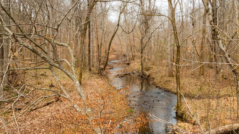 0 Macon Wall Rd, Ashland City, TN 37015