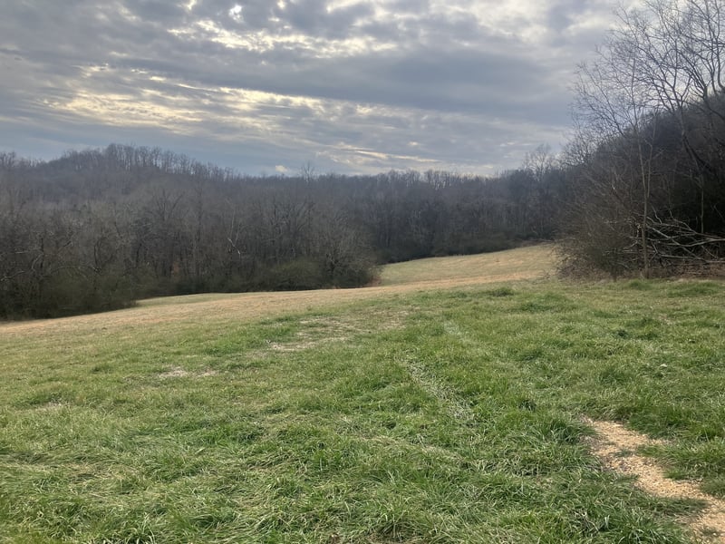 15 Booker Ridge Rd, Mount Pleasant, TN 38474