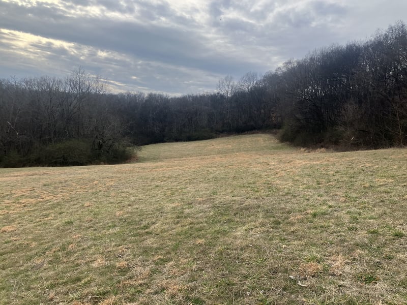 15 Booker Ridge Rd, Mount Pleasant, TN 38474